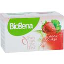 Biogena Fantastic Tea Jahoda a Ginko 20 x 2,5 g