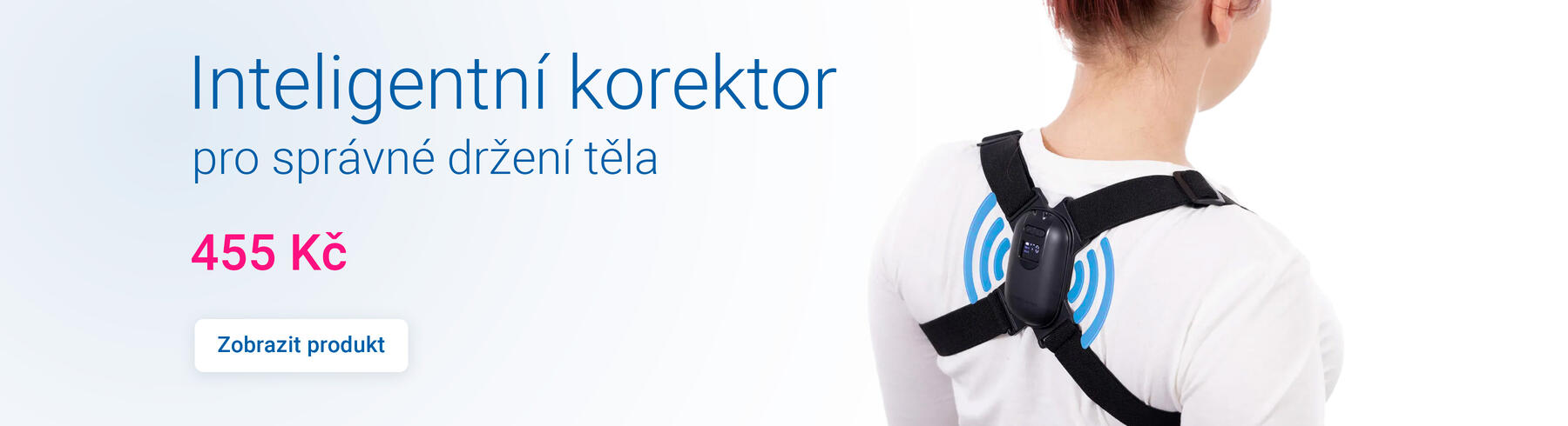 Inteligentní korektor