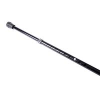 Vycházková hůl s osvětlením