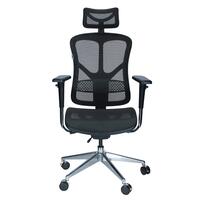 Ergonomická židle Business, šedá