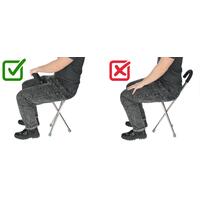 Vycházková hůl se židlí