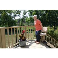 Židlový výtah Elite s rovnou kolejnicí