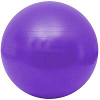 Gymnastický míč Gymy Ball - fialový ( 55 - 65 cm )