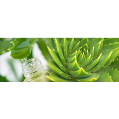 Virde Aloe vera gel s jalovcem a rakytníkem 500ml