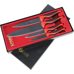 Kuchyňské nože z chirurgické oceli ZEPTER, 4ks