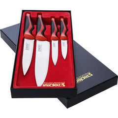 Kuchyňské nože z chirurgické oceli ZEPTER, 4ks