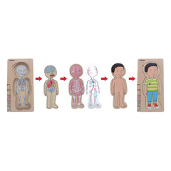 Edukační puzzle Hádanka těla Chlapec od Beleduc