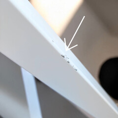 Podlahový stojan k biolampě Bioptron PRO 1 (Používaný kus)