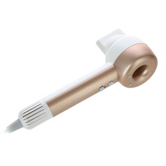 Fén na vlasy s ionizátorem vzduchu, zlato-bílý