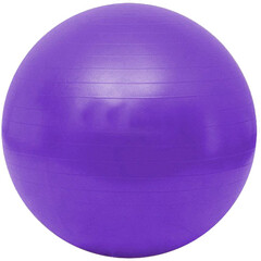 Gymnastický míč Gymy Ball - fialový ( 55 - 65 cm )