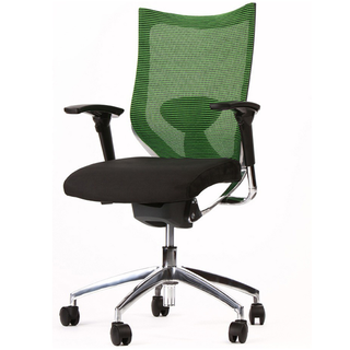 Ergonomická židle Office Zelená židle