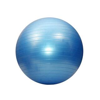 Gymnastický míč 65 cm Gymnastický míč - modrý