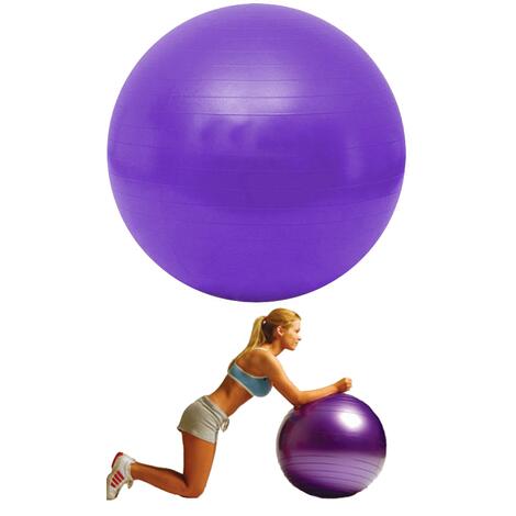 Gymnastický míč Gymy Ball - fialový ( 55 - 65 cm )