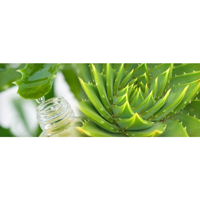 Virde Aloe vera gel s jalovcem a rakytníkem 500ml