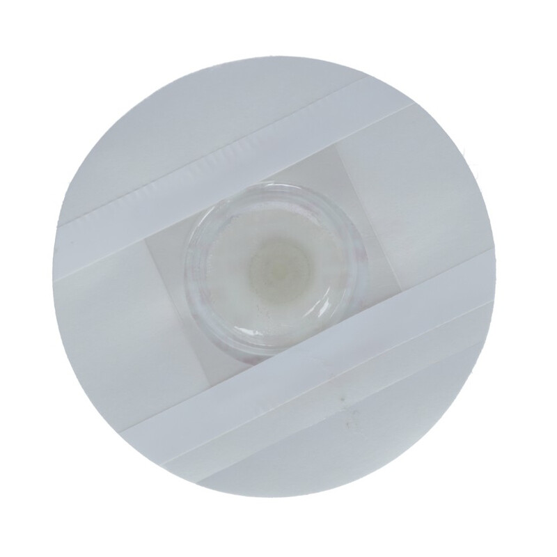 Holter 24h EKG / ECG monitor srdečního rytmu s online analýzou dat