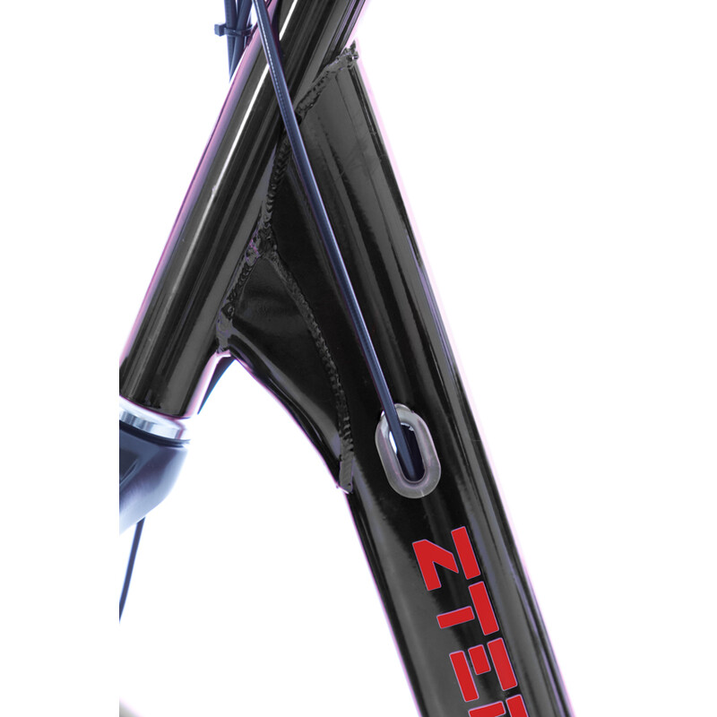 Tříkolové elektrické kolo Tornádo ZTECH, černé