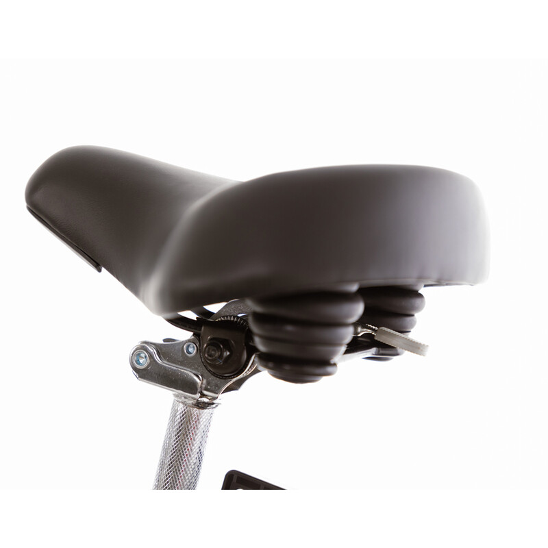 Tříkolové elektrické kolo Tornádo ZTECH, černé