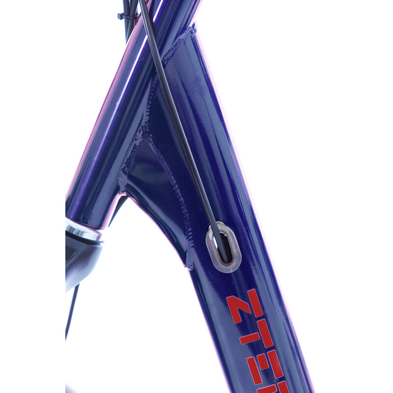 Tříkolové elektrické kolo Tornádo ZTECH, modré